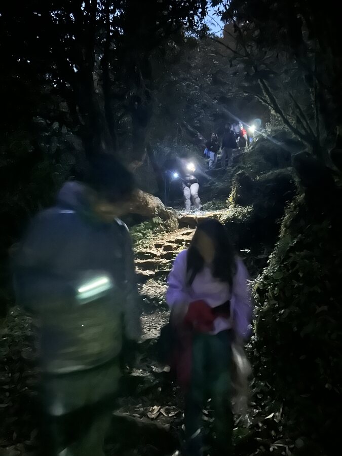 Hikers strung out along a dark forest trail, headlamps on
