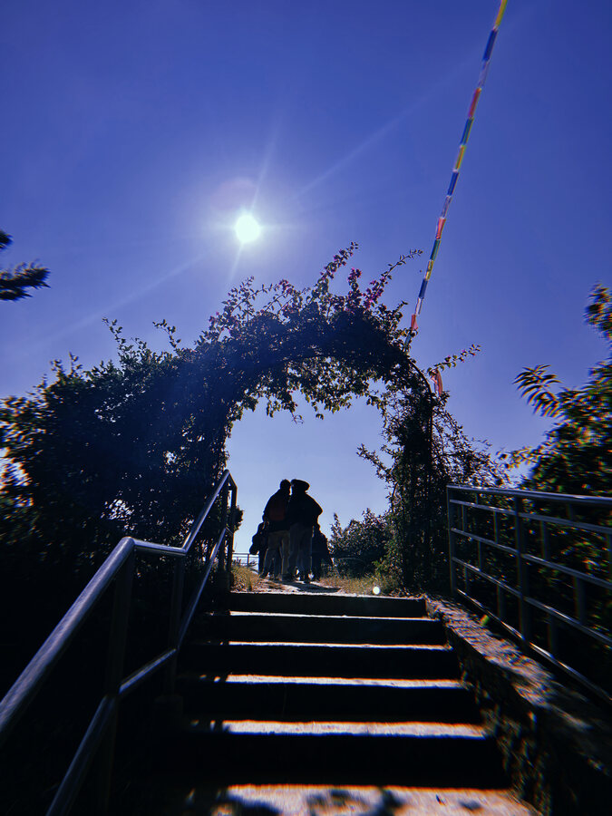 Silhouettes under a leafy arch and prayer flags at dusk